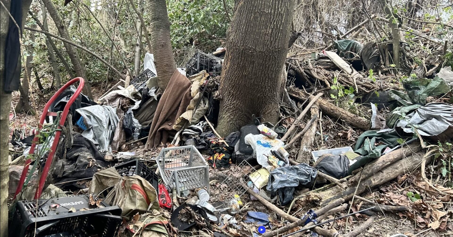 Hands On, Trash Out: Transforming Seattle One Cleanup at a Time